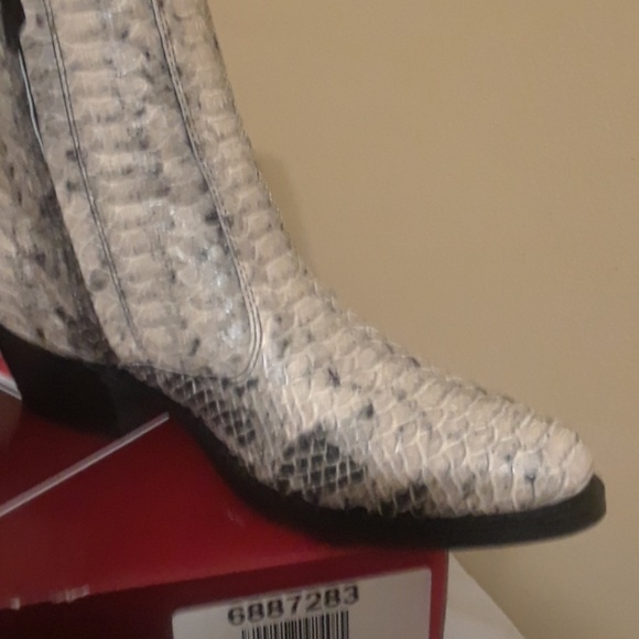 dingo snakeskin boots